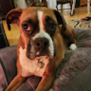 Meet your Posher, John